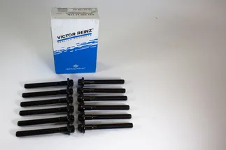 Victor Reinz Engine Cylinder Head Bolt Set - 6119901322K